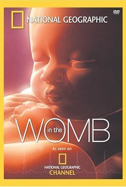 Постер фильма National Geographic. Жизнь до рождения: В утробе матери (2005)