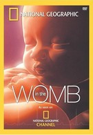 National Geographic. Жизнь до рождения: В утробе матери (2005)