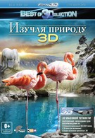 Изучая природу 3D (2013)