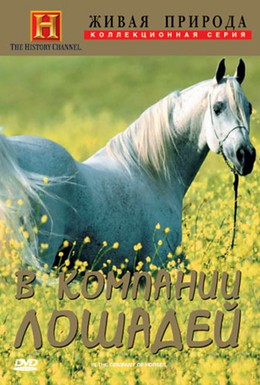 Постер фильма Исторические исследования: В компании лошадей (1998)