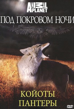 Постер фильма Под покровом ночи (2009)