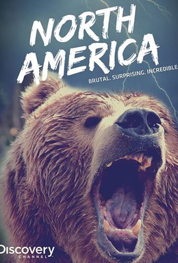Постер фильма Северная Америка (2013)