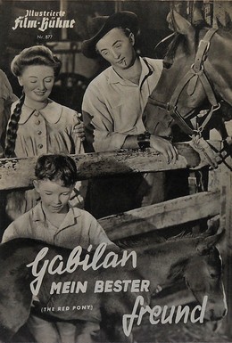 Постер фильма Рыжий пони (1949)
