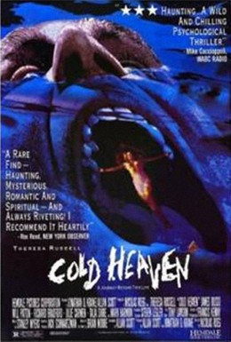 Постер фильма Холодные небеса (1991)