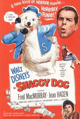 Постер фильма Лохматый пес (1959)