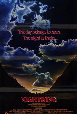 Постер фильма Ночное крыло (1979)