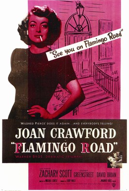 Постер фильма Путь фламинго (1949)