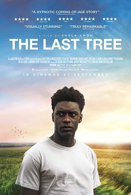 Постер фильма Последнее дерево (2019)