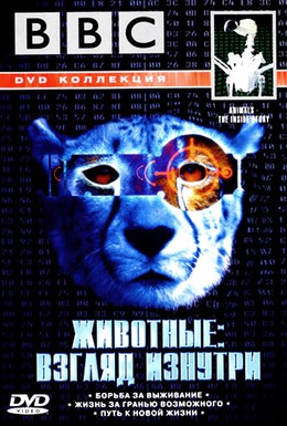 Постер фильма BBC: Животные: Взгляд изнутри (2002)