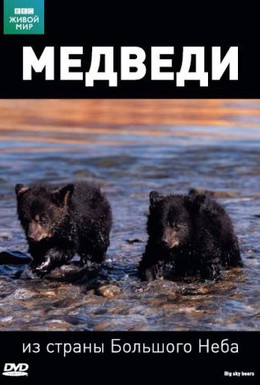 Постер фильма BBC: Медведи из страны большого неба (2006)