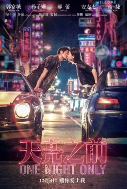 Постер фильма Только одна ночь (2016)
