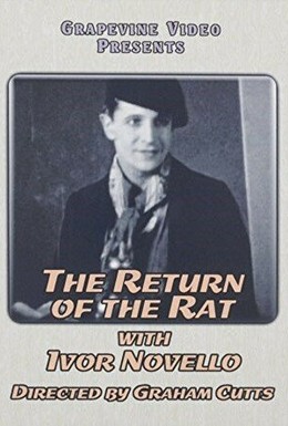 Постер фильма The Return of the Rat (1929)