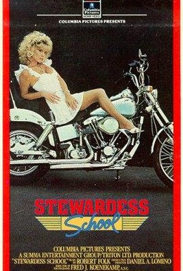Постер фильма Школа стюардесс (1986)