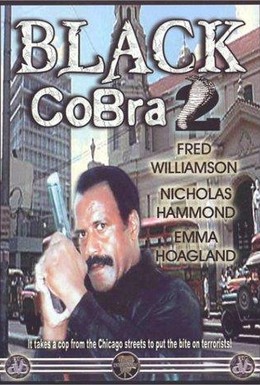 Постер фильма Черная кобра 2 (1989)