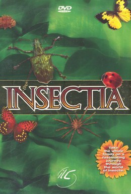 Постер фильма Страсти по насекомым (1999)