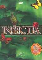 Страсти по насекомым (1999)