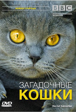 Постер фильма BBC: Загадочные кошки (2002)