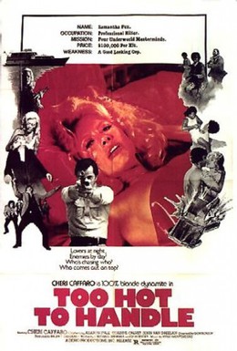 Постер фильма Слишком рискованно (1977)