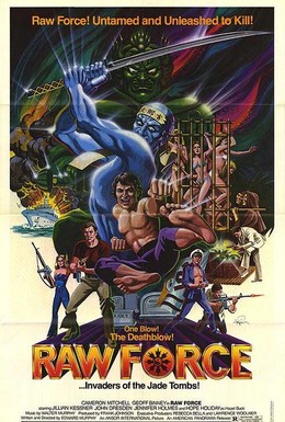 Постер фильма Неукротимая сила (1982)