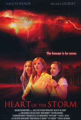 Постер фильма Страшнее шторма (2004)