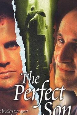 Постер фильма Идеальный сын (2000)