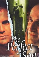 Идеальный сын (2000)