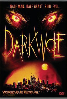 Постер фильма Темный волк (2003)