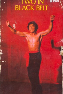 Постер фильма Двое в черном поясе (1978)