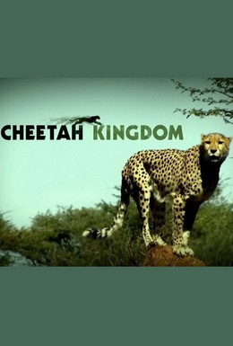 Постер фильма Царство гепардов (2010)
