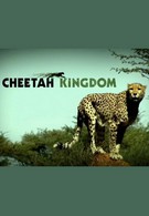 Царство гепардов (2010)