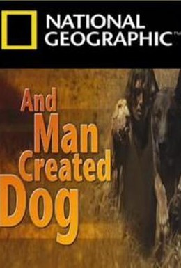 Постер фильма И человек приручил собаку (2010)