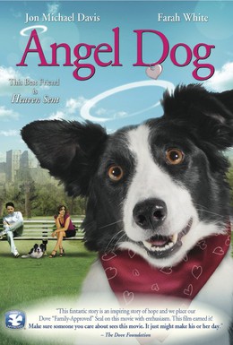 Постер фильма Собака ангел (2011)