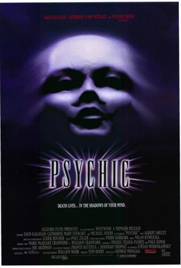 Постер фильма Психопат (1991)