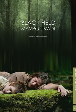 Постер фильма Черное поле (2009)