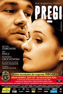 Постер фильма Рубцы (2004)