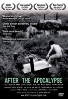 После апокалипсиса (2004)
