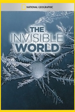 Постер фильма Невидимый мир (1979)