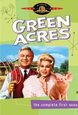 Постер фильма Зеленые просторы (1965)