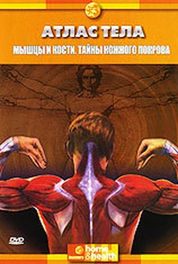 Постер фильма Discovery: Атлас тела (1994)