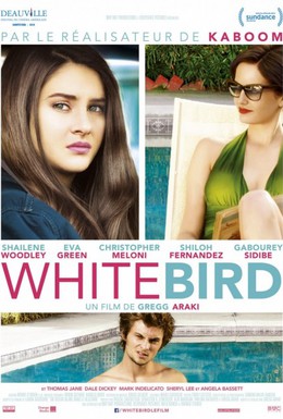 Постер фильма Белая птица в метели (2014)