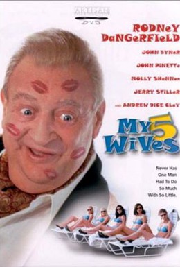 Постер фильма Мои 5 жён (2000)