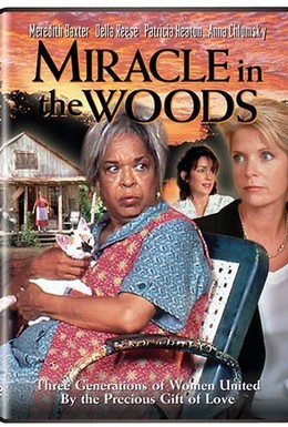 Постер фильма Чудо в лесу (1997)
