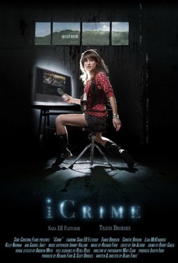 Постер фильма Преступление по интернету (2010)