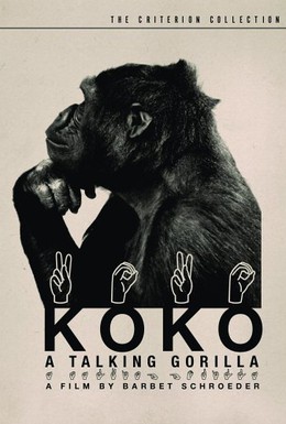 Постер фильма Коко, говорящая горилла (1978)