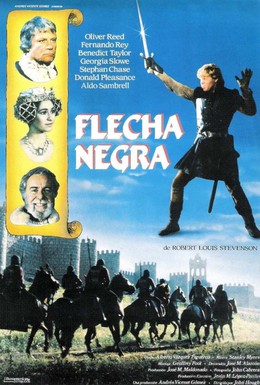 Постер фильма Черная стрела (1985)