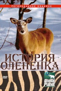 Постер фильма История олененка (2003)