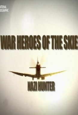 Постер фильма Воздушные асы войны (2012)
