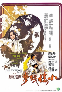 Постер фильма Запретное прошлое (1979)