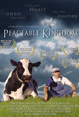 Постер фильма Мирное Королевство: Возвращение Домой (2009)