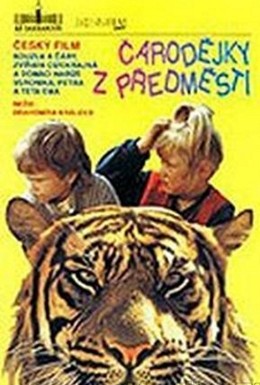 Постер фильма Чародейки из предместья (1991)